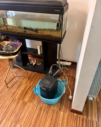 Acquario