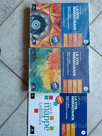 Libro "La Vita Immaginata" volume 1A-1B