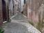Immagine 14