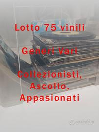 Lotto 75 vinili - collezione LP originali