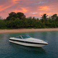 Chris Craft Scorpion 230 LTD