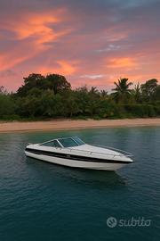 Chris Craft Scorpion 230 LTD