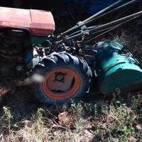 motocoltivatore goldoni 14 Hp