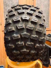 Pneumatico Fantic Koala