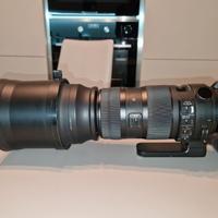 Obiettivo sigma 150-600 Sport per Canon