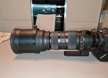 Obiettivo sigma 150-600 Sport per Canon