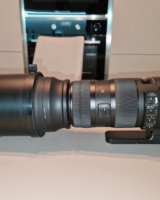 Obiettivo sigma 150-600 Sport per Canon