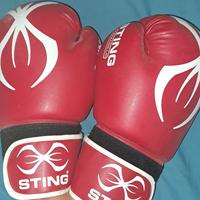 guantoni boxe sting armadillo 12oz