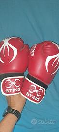 guantoni boxe sting armadillo 12oz