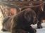 Immagine 3