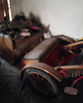 Calesse per pony cavalli asini