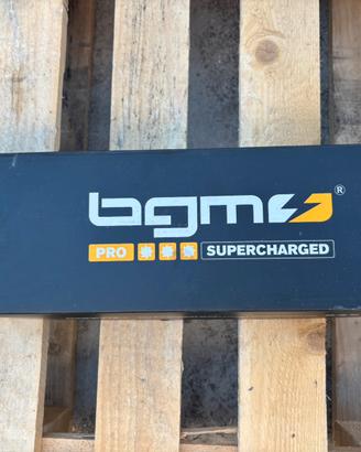 Ammortizzatore posteriore BGM Pro SC/R12