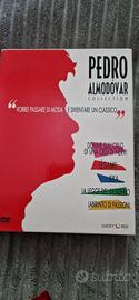 DVD PEDRO ALMODOVAR COLLECTION 5 FILM