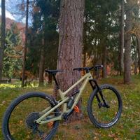 Canyon Spectral 125 CF 7 M Bicicletta MTB