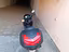Immagine 6