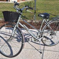Bici marca Alpina, modello Rondine 