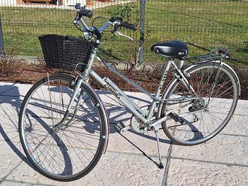 Bici marca Alpina, modello Rondine 