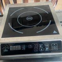 Piastra ad induzione professionale