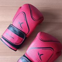 Guantoni professionali da Boxe 