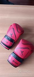 Guantoni professionali da Boxe 