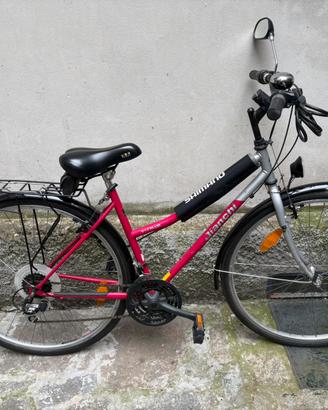 Bicicletta Bianchi 717 Plus