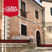 San Cipriano picentino bilocale giardino e cantina