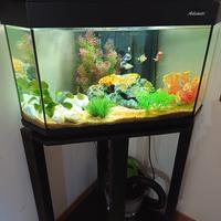 acquari completo 100litri