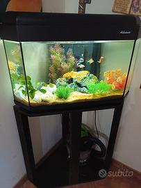 acquari completo 100litri