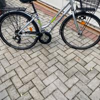 Bicicletta