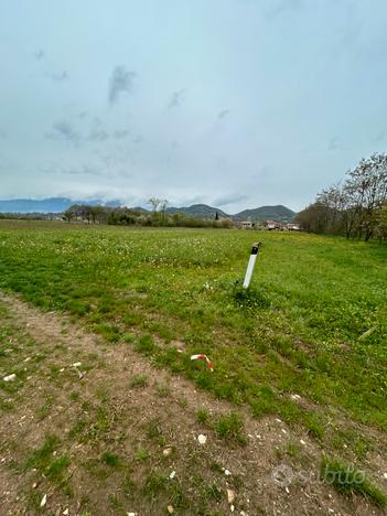 Terreno agricolo per vigneti