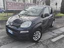 fiat-panda-1-2-easypower-lounge-86000km-2021-gpl