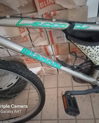mountain bike 