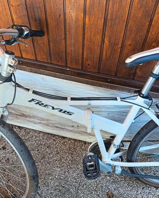 bicicletta pieghevole 