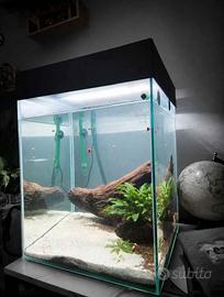 Acquario 80 litri accessoriato