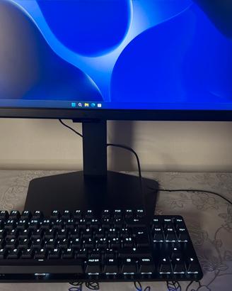 samsung  2k 165 hz + tastiera e mouse logitech