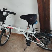 bicicletta pieghevole con cambio 