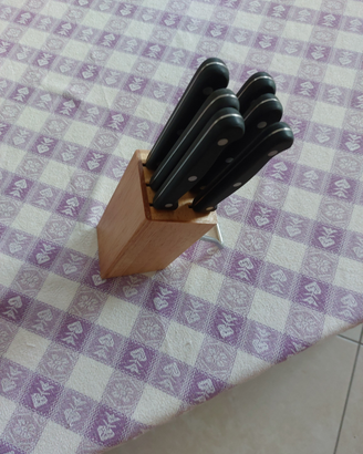 Ceppo di coltelli Brandani