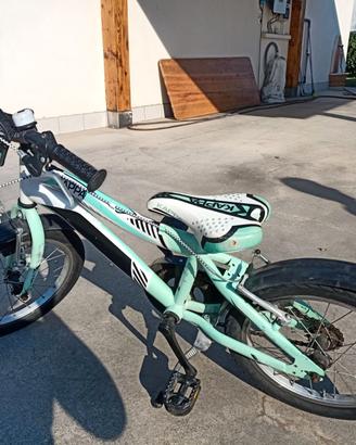 Bicicletta