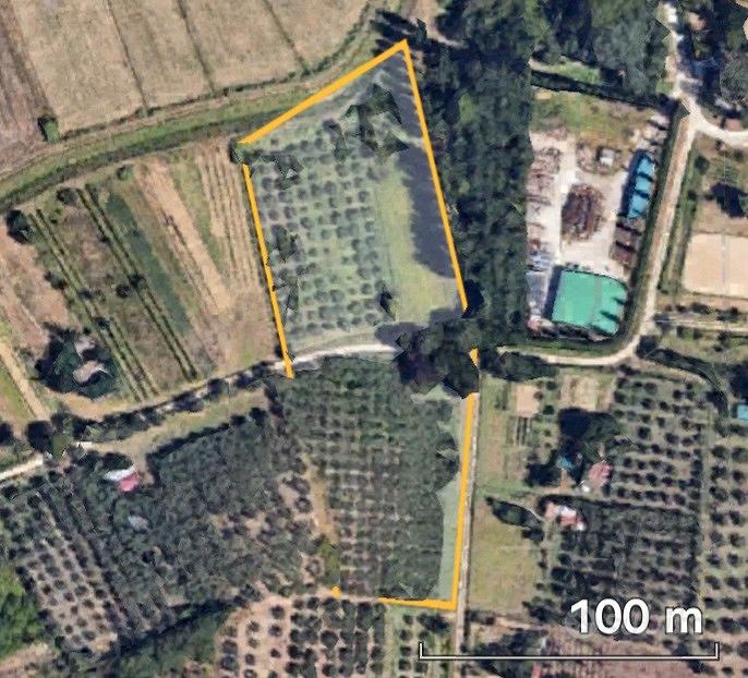 Terreno agricolo Oliveto - Vista 2