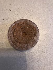 Jiffy 41mm 989 pezzi