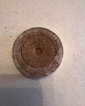 Jiffy 41mm 989 pezzi