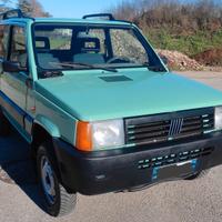 Panda 4x4 1100 ie cat climbing