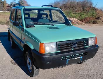 Panda 4x4 1100 ie cat climbing