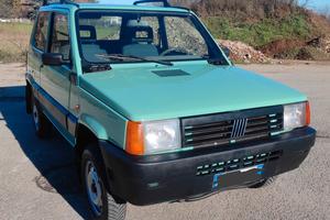 Panda 4x4 1100 ie cat climbing