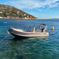 Selva 560 mercury 115 cv e 2 carrelli