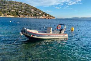 Selva 560 mercury 115 cv e 2 carrelli