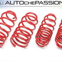 Kit molle sportive Ta Tecnix per Mini Cooper One S