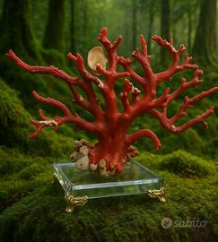 Corarallo rosso con base in vetro ((Sardegna)