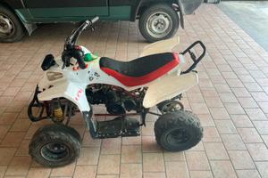 Quad 110cc