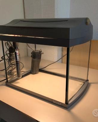 Acquario 20 l